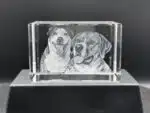 3D Crystal Photo Block - Image 12